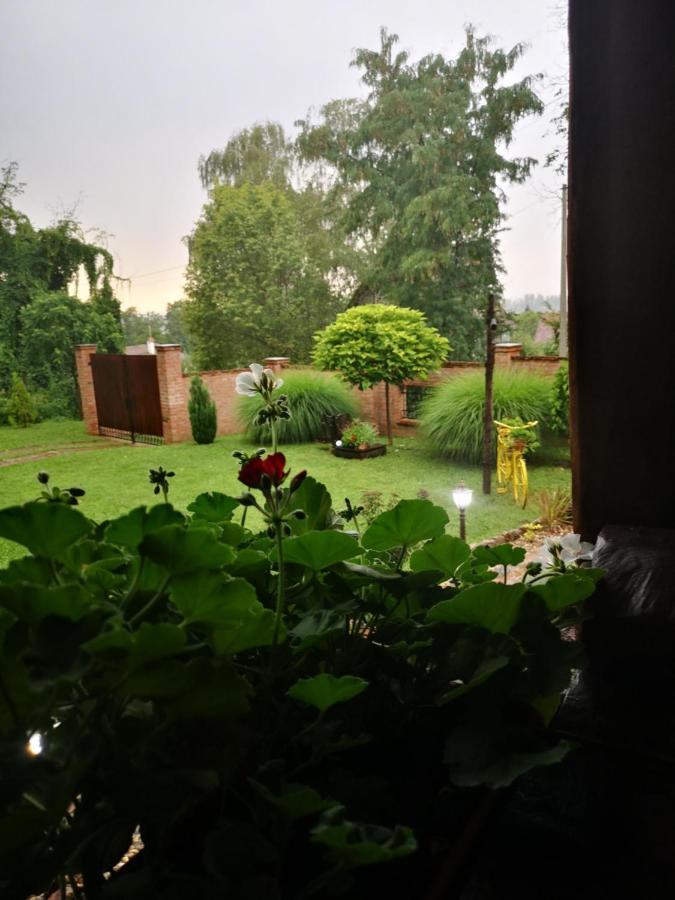 Etno Kuca Todorovic Semêndria Exterior foto