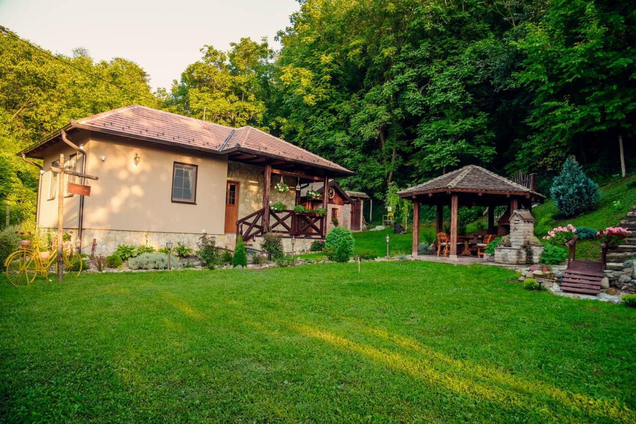 Etno Kuca Todorovic Semêndria Exterior foto